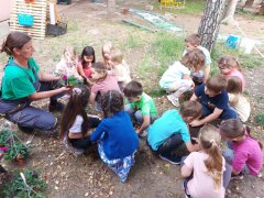 viber_slika_2024-06-04_16-43-41-207.jpg